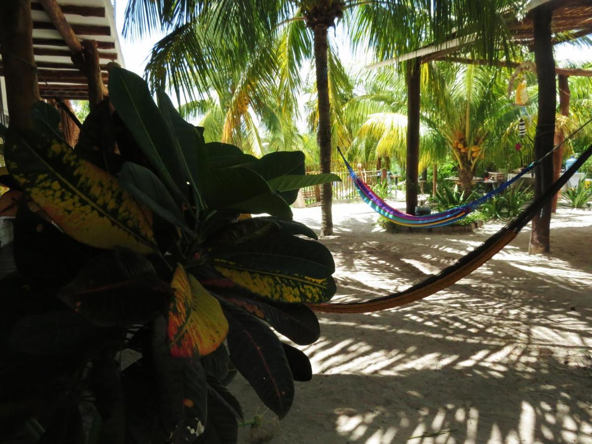 Art Maya Isla Holbox